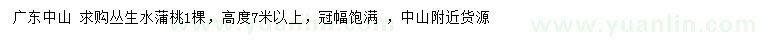 求購(gòu)高7米以上叢生水蒲桃