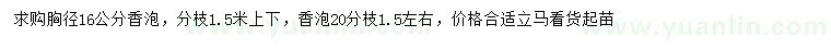 求購胸徑16公分香泡