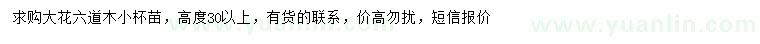 求購高30公分以上大花六道木