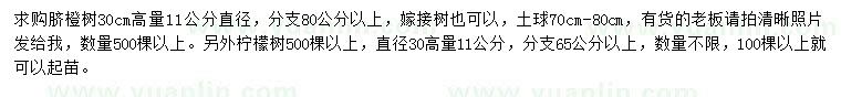求購30公分量直徑11公分臍橙樹、檸檬樹