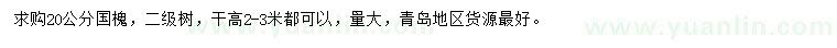 求購20公分國槐