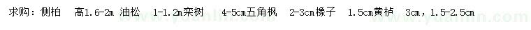 求購側(cè)柏、油松、欒樹等