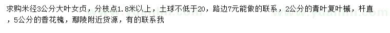 求購大葉女貞、青葉復葉槭、香花槐