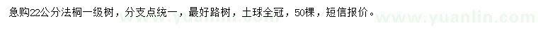 求購22公分法桐