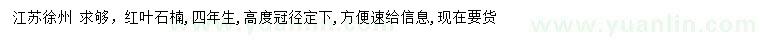求購紅葉石楠