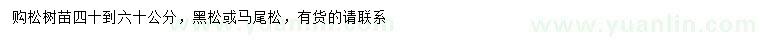 求購40-60公分黑松、馬尾松