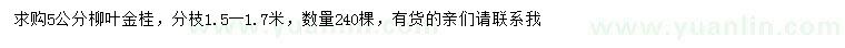 求購5公分柳葉金桂