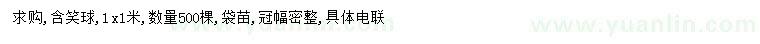 求購1*1米含笑球