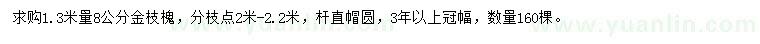 求購1.3米量8公分金枝槐