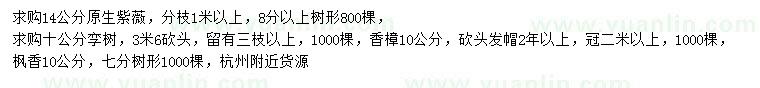 求購紫薇、欒樹、香樟等