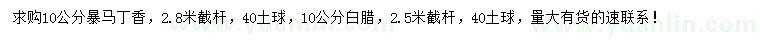 求購10公分暴馬丁香、白臘