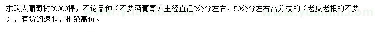 求購主徑直徑2公分左右大葡萄樹