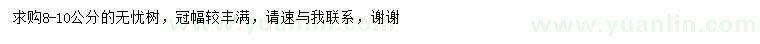 求購8-10公分無憂樹
