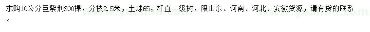 求購10公分巨紫荊