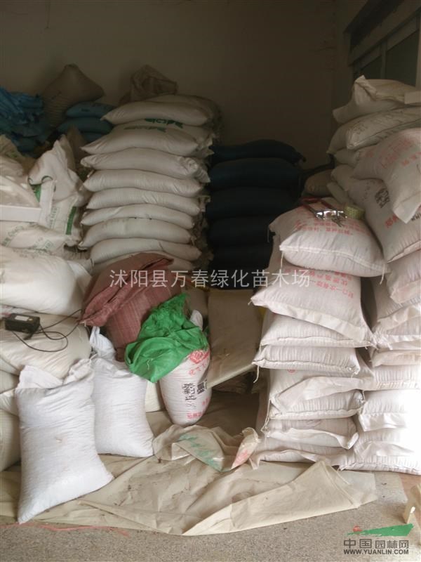 銷售全國(guó)進(jìn)口草種 草坪種子 草籽 護(hù)坡草種 觀賞草坪種子