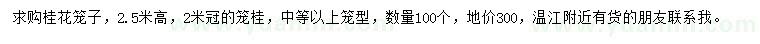 求購高2.5米桂花