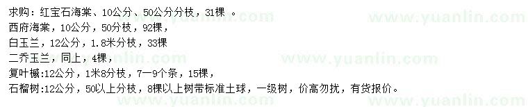 求購(gòu)紅寶石海棠、西府海棠、白玉蘭等