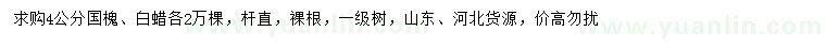 求購(gòu)4公分國(guó)槐、白蠟