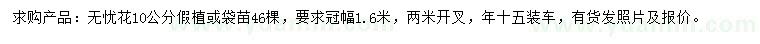 求購10公分無憂花