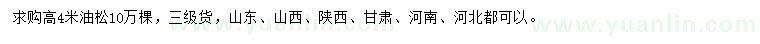 求購高4米油松