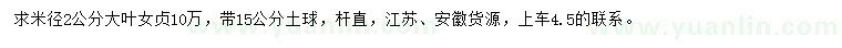 求購米徑2公分大葉女貞