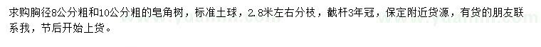 求購胸徑8、10公分皂角