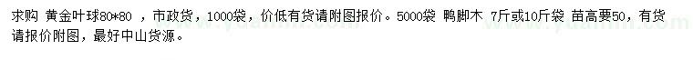 求購80公分黃金葉球、50公分?zhù)喣_木
