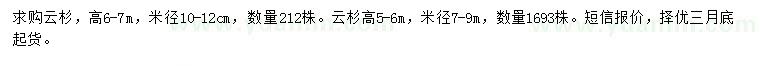 求購高6-7米云杉