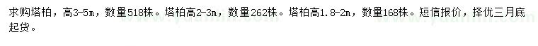 求購(gòu)高3-5、1.8-2米塔柏