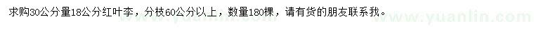 求購(gòu)30公分量18公分紅葉李