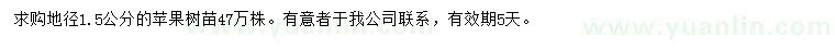 求購(gòu)地徑1.5公分蘋(píng)果苗