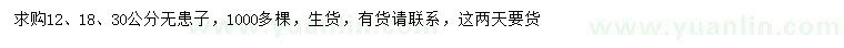 求購12、18、30公分無患子
