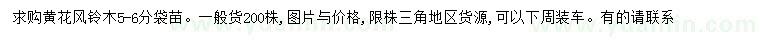 求購5-6分黃花風(fēng)鈴木