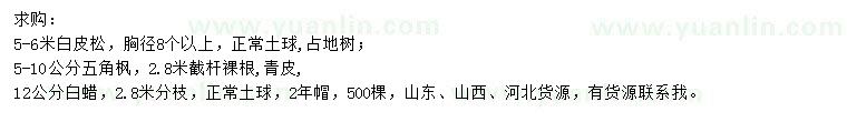 求購白皮松、五角楓、白蠟