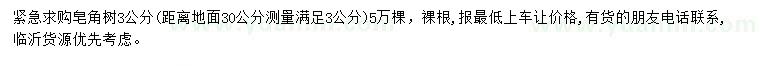 求購3公分皂角樹