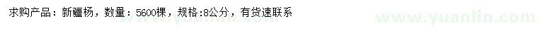 求購8公分新疆楊