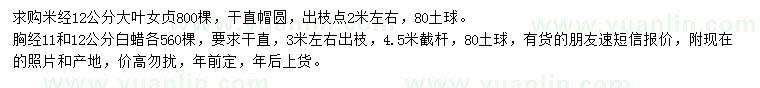 求購(gòu)米徑12公分大葉女貞、胸徑11、12公分白蠟