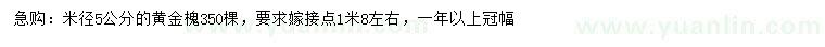 求購米徑5公分黃金槐