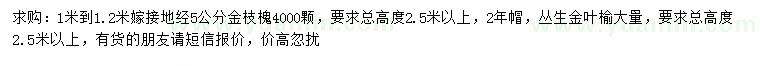 求購(gòu)地徑5公分金枝槐