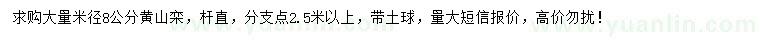 求購(gòu)米徑8公分黃山欒