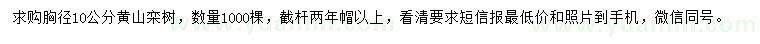 求購胸徑10公分黃山欒樹