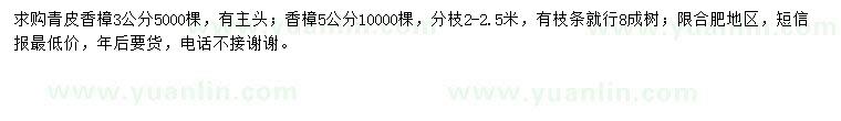 求購(gòu)3公分青皮香樟、5公分香樟