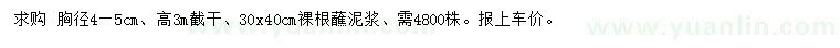 求購胸徑4-5公分垂柳