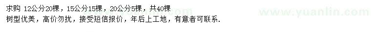 求購12、15、20公分黑松
