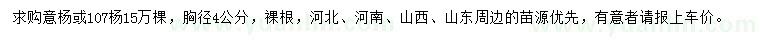 求購胸徑4公分意楊或107楊
