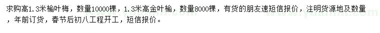 求購(gòu)高1.3米榆葉梅