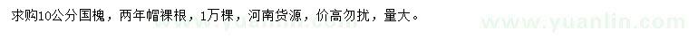 求購10公分國槐