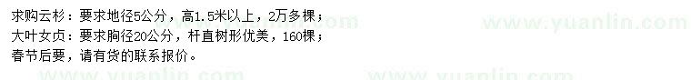 求購地徑5公分云杉、胸徑20公分大葉女貞