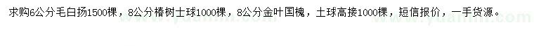 求購毛白楊、椿樹、金葉國槐