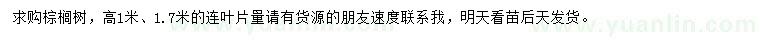 求購高1、1.7米棕櫚樹